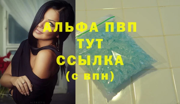 стаф Калининец